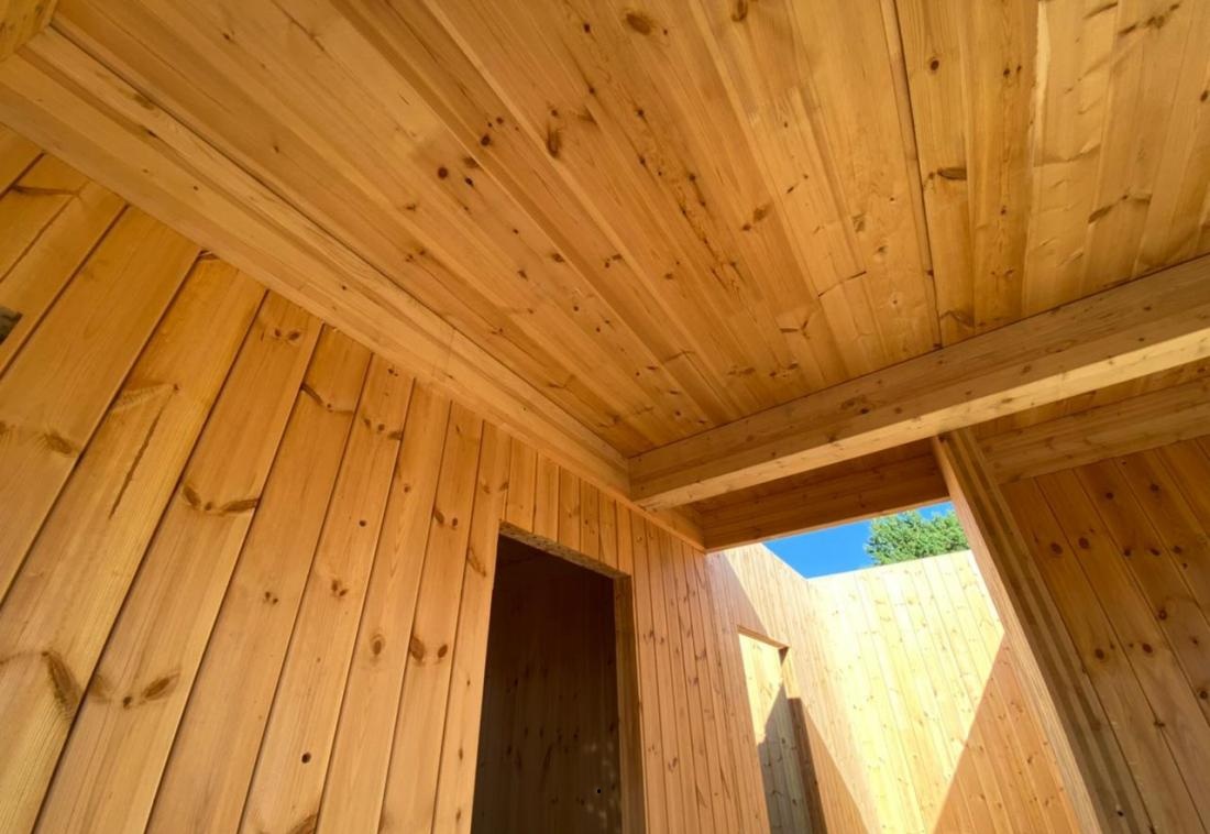 CLT панель из сосны